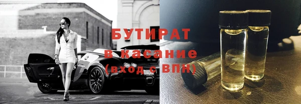 прущие грибы Верея