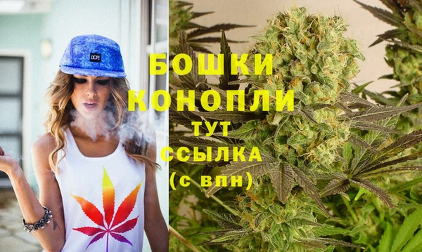 ПСИЛОЦИБИНОВЫЕ ГРИБЫ Волосово