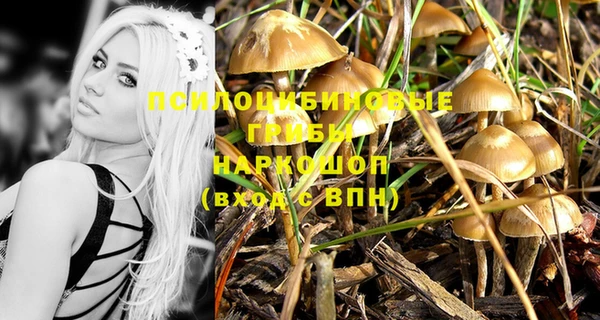 прущие грибы Верея
