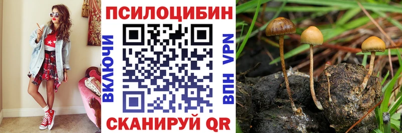 Псилоцибиновые грибы прущие грибы  KRAKEN ТОР  Иннополис  купить наркотики сайты 